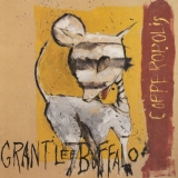 Grant Lee Buffalo Best Ever Albums